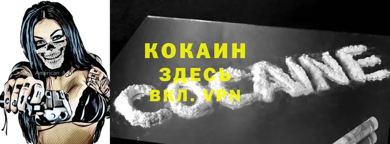 где купить наркотик  Гремячинск  Cocaine Fish Scale 